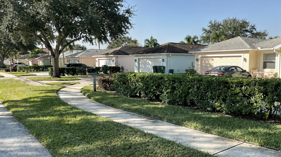 Coral Springs street with one-story 1980s homes, hip roofs, tall ficus hedges and a wide swale with a bike path