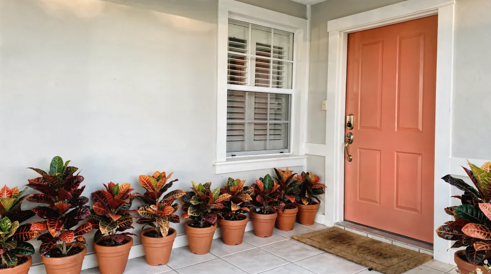 South Florida front porch with a coral painted front door, terracotta pots with crotons and white shutters