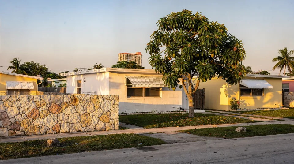 Quiet residential street in northern Miami-Dade County in early morning light, flat-roofed 1960s concrete-block homes painted white and pale yellow, a coral rock wall, a mango tree and a mid-rise condo tower far in the background